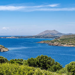 Γεωργία Μ.